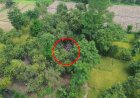 Patroli-Drone,-Polres-Pasuruan-Kota-Berhasil-Identifikasi-dan-Bongkar-Lokasi-Sabung-Ayam