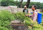 Humanis-Jalankan-Ketahanan-Pangan,-Bhabinkamtibmas-Polsek-Sidoarjo-Kota-Bantu-Pengelolaan-Lahan-Cabai-di-Desa-Jati-Kidul