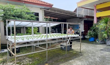 Dukung-Ketahanan-Pangan-Di-Sidoarjo-Kota-Ada-Hidroponik-Cabai-dan-Terong