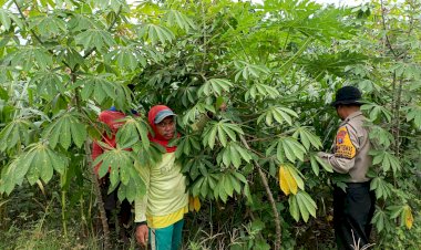 Kanit-Binmas-Polsek-Krembung-Apresiasi-Warga-Panen-Ikan-Gurami