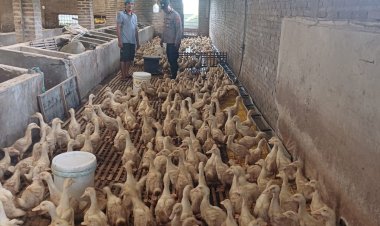 POLRESTA-SIDOARJO-|-Kapolsek-Tarik-Maksimalkan-Peran-Bhabinkamtibmas-untuk-Kawal-Ketahanan-Pangan-di-Tingkat-Desa