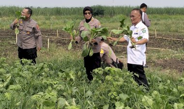 Satgas-Ketahanan-Pangan-Polresta-Sidoarjo-Cek-Lahan-P2B-Desa-Lemujut-Krembung