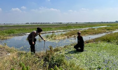 Polwan-Polsek-Wonoayu-Dampingi-Warga-Rawat-Lahan-Kosong-Dukung-Ketahanan-Pangan