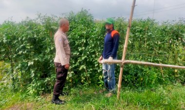 Bhabinkamtibmas-Kemantren-Tinjau-Perkebunan-Kacang-Panjang-Dukung-Ketahanan-Pangan