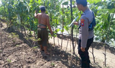 Kolaborasi-Polisi-dan-Warga-di-Kedungsumur:-Labu-Jadi-Andalan-Pangan-Lokal