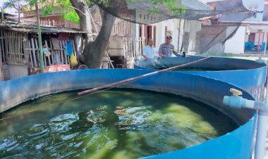 Polisi-Sidoarjo-Pantau-Budidaya-Lele-di-Masangan-Kulon,-Dukung-Ketahanan-Pangan-Lokal