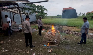 Respon-Aduan-Warga-Adanya-Sabung-Ayam,-Polsek-Tulangan-Turun-Langsung-ke-Lokasi