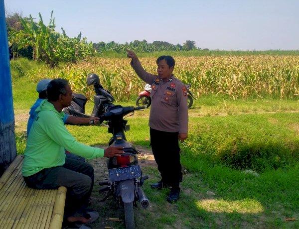 Polsek Prambon Tinjau Persiapan Lahan Jagung, Perkuat Program Swasembada Pangan di Sidoarjo