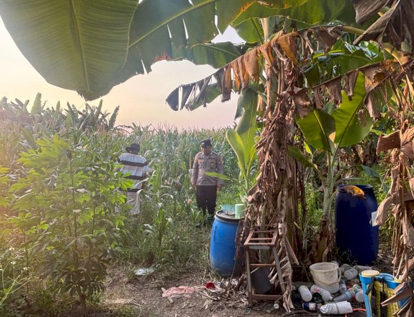 Tanaman Jagung Mulai Berbuah, Polsek Gedangan Intensifkan Pendampingan Ketahanan Pangan
