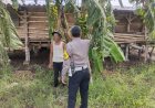 Polsek-Buduran-Masifkan-Peran-Bhabinkamtibmas-dalam-Peninjauan-Program-Ketahanan-Pangan-Asta-Cita-Presiden-RI